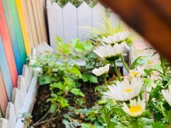 -Rabbit Cafe私房西餐甜点咖啡(栖霞路店)