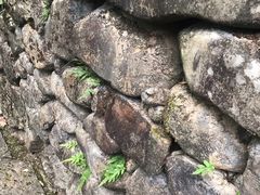 -宁海森林温泉