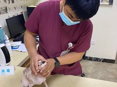-美联众合动物医院·24h转诊中心