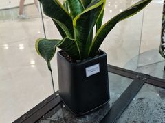 -新华书店(印象城店)