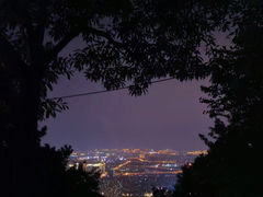-惠山国家森林公园