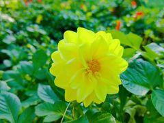 -长春公园(普阳街道)