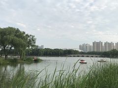 -昆山城市生态森林公园