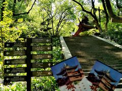 -城隍阁