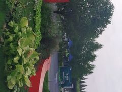 -黄海国家森林公园