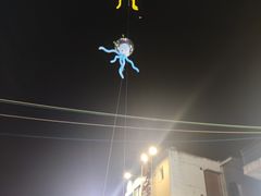 -霞姐屯昌枫木香草鸭店(海螺店)