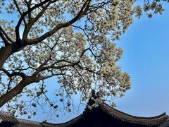 -何园