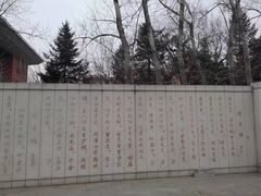 -长春市十一高中