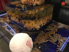 -蟹道乐(道顿堀本店)