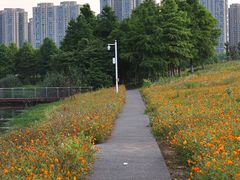 -洋湖国家湿地公园
