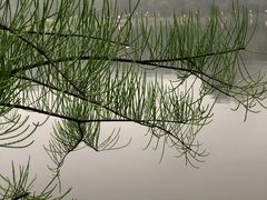 -南国桃园旅游度假区