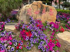 -广东花都香草世界旅游度假区
