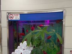 -雅悦齿科(顾村公园店)