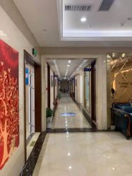 -碧莲盛·不剃发植发