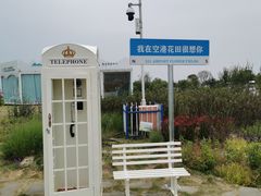 -空港花田景区