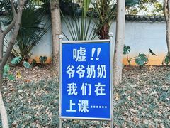 -柳侯公园
