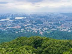 -紫金山山顶公园