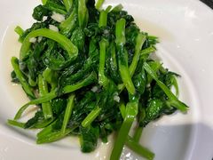 蒜蓉豌豆尖-老广酒楼(樱花店)