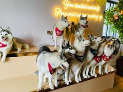 -Husky Go! 哈士奇体验馆·宠物咖啡厅狗咖