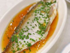 清蒸翘嘴-林记象山海鲜(广灵二路店)