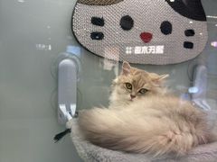 -银座和谐广场