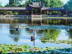 -永泉忆江南12景区
