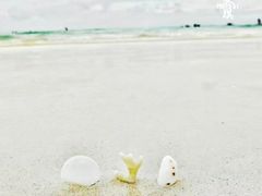 -白沙滩