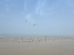 -那香海钻石沙滩浴场