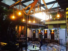 -喵屿·大理花园猫咖