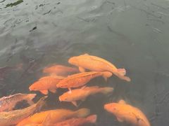 -乌记大厨餐厅