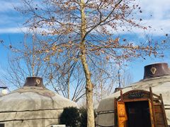 -九十九顶毡房(阜石路店)