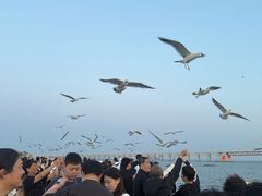 -星海广场