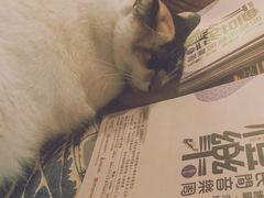 -江湖边·小生活