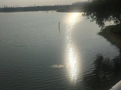 -贡湖湾湿地公园