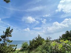 -养马岛旅游度假区