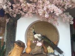 -隐厨·海鲜餐厅(恒通路店)