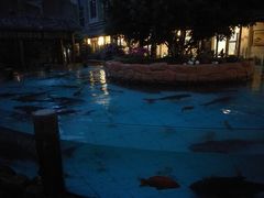 -忆江南·临江鱼馆