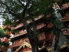 -大佛寺高级素食自助餐厅