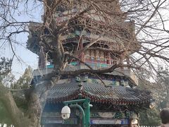 -宫事颐庭·老佛爷贵寿下午茶(颐和园店)