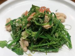丝瓜尖拌桃仁-湖畔鲁菜·二十年老字号餐厅(大明湖店)