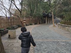-灵岩山风景区