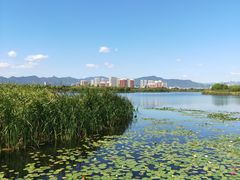 -永定河休闲森林公园