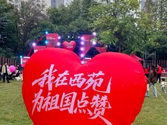 -西苑公园