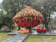 -狼山风景名胜区