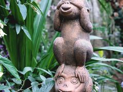 -上海辰山植物园