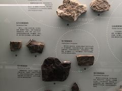 展品-国家自然博物馆