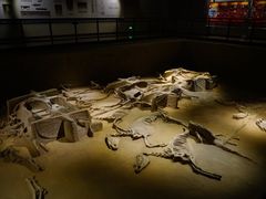 -洛阳周王城天子驾六博物馆