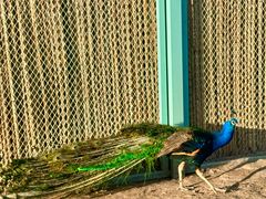 -水上乐园·欢乐世界