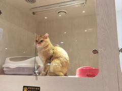 -乐宠宠物店(世纪金源店)