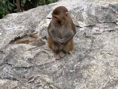-千岛湖东南湖区